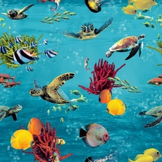 Портфолио XII Обои Sea Life мульти Rasch 310405