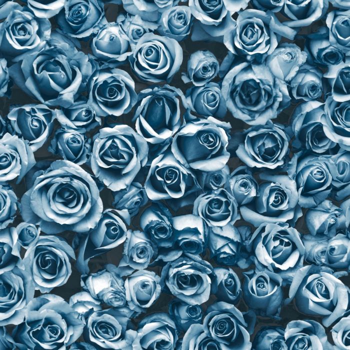 Цветочные обои Rosalee Blue Muriva 158504