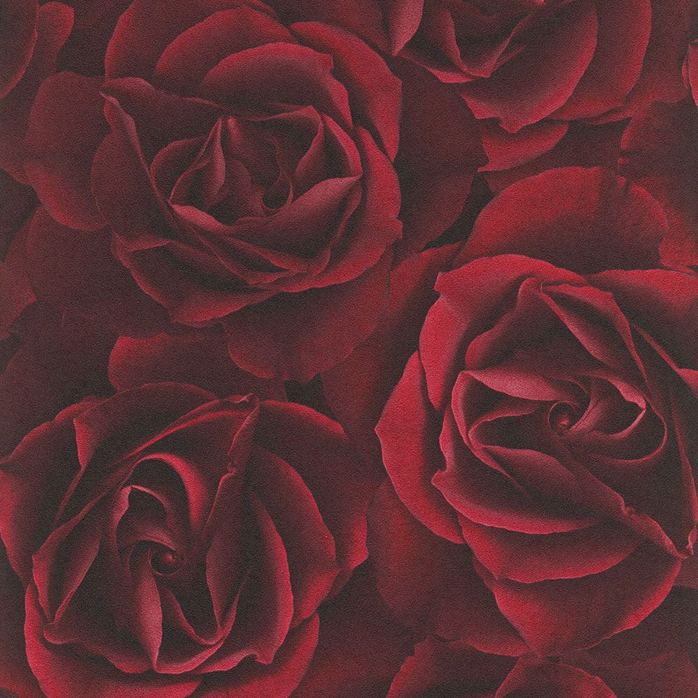 Обои с цветочными розами Deep Red Rasch 525625